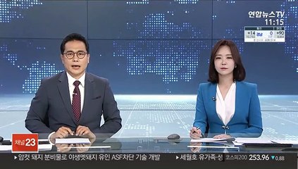 박사방 재유포…'피카츄방' 유료회원 80명 추적