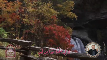 إنّ في الجنة نهراً من لبن  مدائح رائعة بصوت القارئ الأستاذ السيد محمد رضا المحمدي