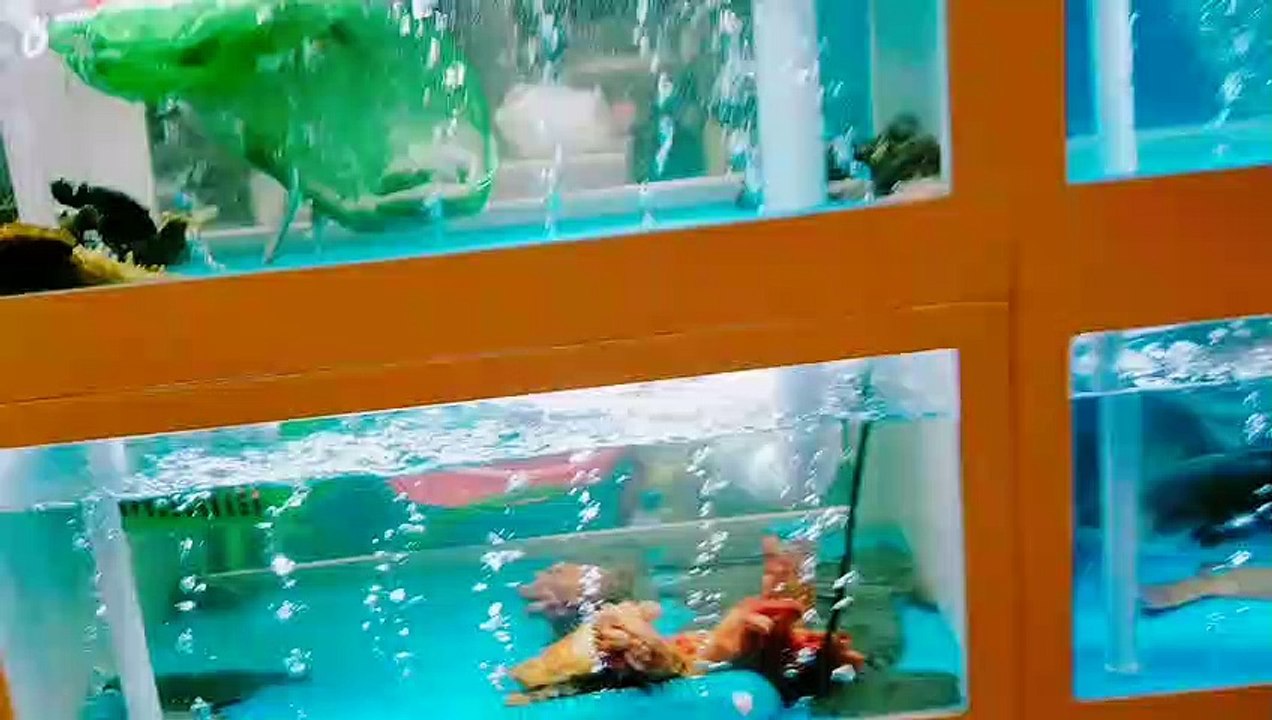 a121 エイジングケアに大活躍！コロコロ…簡単！ローラー美容液【リンクローダー】目尻、目下のたるみ、額、ほうれい線、気になるポイントのケアエイジングケアに大活躍！コロコロ…簡単！ローラー美容液【リンクローダー】目尻、目下のたるみ、額、ほうれい線、気になるポイントのケア