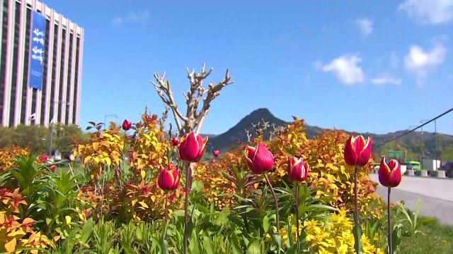 [날씨] 한낮 따뜻...영동 강풍주의보, 산불 비상 / YTN
