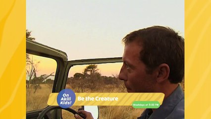 Be the creature on Akili Kids! TV