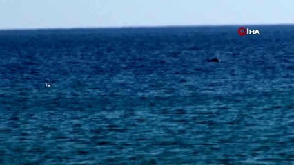 İstanbul'da vatandaş denizle buluştu, polis anında böyle engelledi