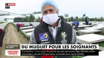 Coronavirus - Un maraicher lance une opération sur Internet pour offrir des brins de muguet au personnel soignant - VIDEO