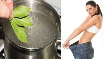 Weight Loss के लिए सुबह खाली पेट पीएं तेज पत्ते का पानी, जानें Bay Leaf Water Recipe | Boldsky