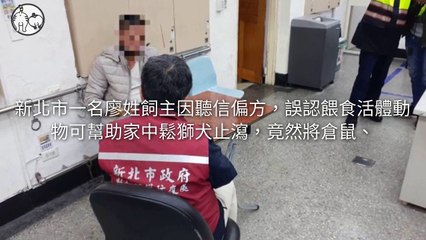 petmao_curation_mobile-copy1-20200428-16:14