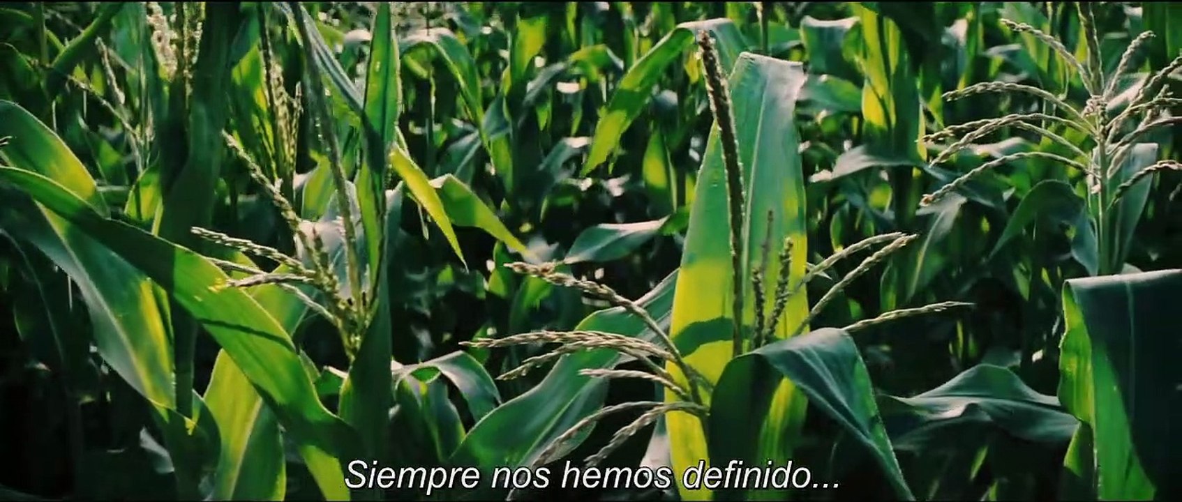 Interstellar- Tráiler