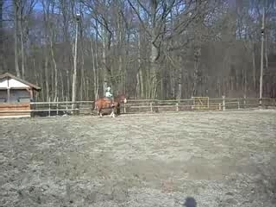 Galop droite stop 10-02-2008