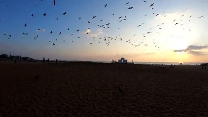Edward Elliot's Beach . Morning Vibes