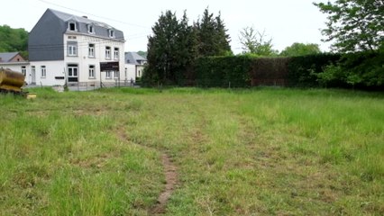 Vol de moutons, à Beez ( Namur )