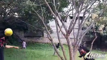 HEADERS , finally got by the BEGINNER.