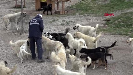 Video herunterladen: KAYSERİ Patiköy'de 'koronavirüs' sessizliği