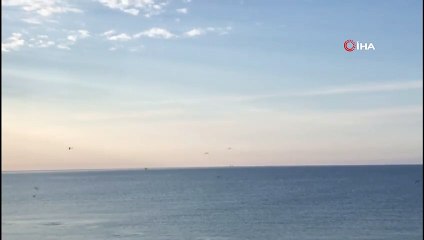 Doğa özüne dönüyor: Deniz Yunuslara kaldı