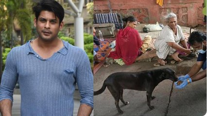 Siddharth Shukla ने फैन्स से की गुजारिश, जानवरों की मदद के लिए की पहल | FilmiBeat