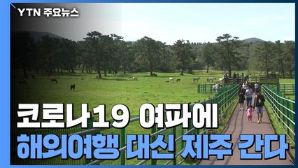 코로나19 여파에 해외여행 대신 제주 간다 / YTN