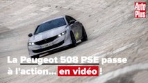 La Peugeot 508 PSE (2020) passe à l'action...en vidéo !