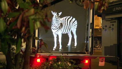 Animal holograms light up streets of Paris during confinement