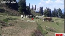 Kashmir view Valley