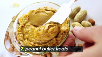 5 Homemade Dog Treat Recipes to Try During Quarantine