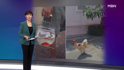 김주하의 4월 28일 '이 한 장의 사진'