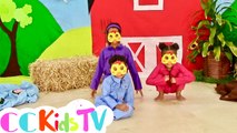 Chicken Chicken Cluck Cluck Song | Original Song by CC Kids TV | Learn Animal Sounds