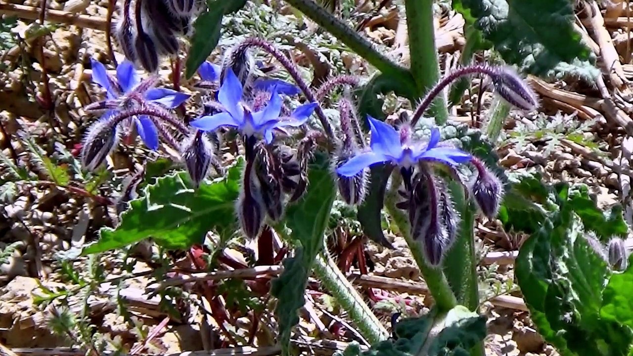 Badstube am 26. April 2020