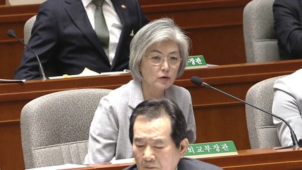 강경화 "방위비 분담금 13% 인상안은 가능한 최고수준 액수" / YTN