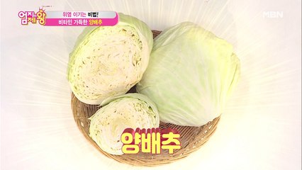 위염 이기는 비법! 비타민 가득한 [양배추]