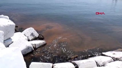 Tekirdağ sahilleri turuncu renge büründü
