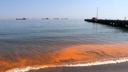 Marmara Denizi'nde plankton çoğalması nedeniyle turuncuya büründü