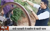 Madhya Pradesh: किसान को घास काटता देख खुद को रोक नही पाए मंत्री जी, जीतू पटवारी ने भी चलाई मशीन
