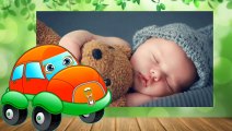 Dandini Dandini Dastana Danalı Bebek Ninni Dinle | Konuşan Arabalar Çocuk Şarkıları ve Tekerlemeleri