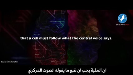 الدكتور بروس ليبتون- إذا فعلت هذا تكون من الـ 5% الناجحين في العالم - مترجم