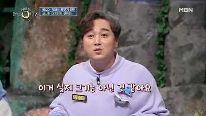 스튜디오에 등장한 실사판 아프리카 코끼리! “밟히면...”