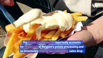 Belgium Urges Residents to Eat More Fries as COVID-19 Causes Massive Potato Surplus