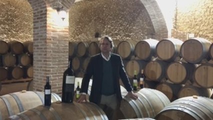 El coronavirus en el sector del vino, de crisis a oportunidad