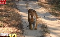 Chhattisgarh: वन विभाग प्रदेश में बाघों की गणना करेगा छत्तीसगढ़, संदिग्ध हालात में पूर्व NSUI नेता की मौत