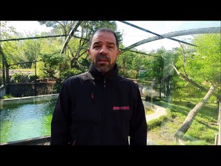 Coronavirus : en "situation critique",  le zoo de Bordeaux-Pessac lance une cagnotte pour nourrir les animaux