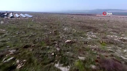 Orman sahalarından 10 ton badem hasat edildi