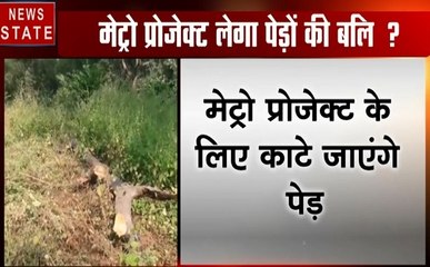 Madhya pradesh: भोपाल- मेट्रो प्रोजेक्ट के लिए काटे जाएंगे 2222 पेड़