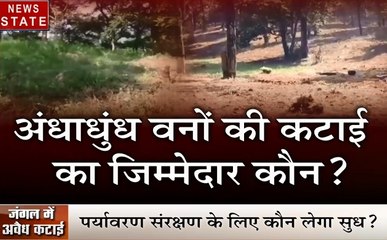 Madhya pradesh:  सिंगरौली- अंधाधुंध वनों की कटाई का जिम्मेदार कौन, देखें खास रिपोर्ट