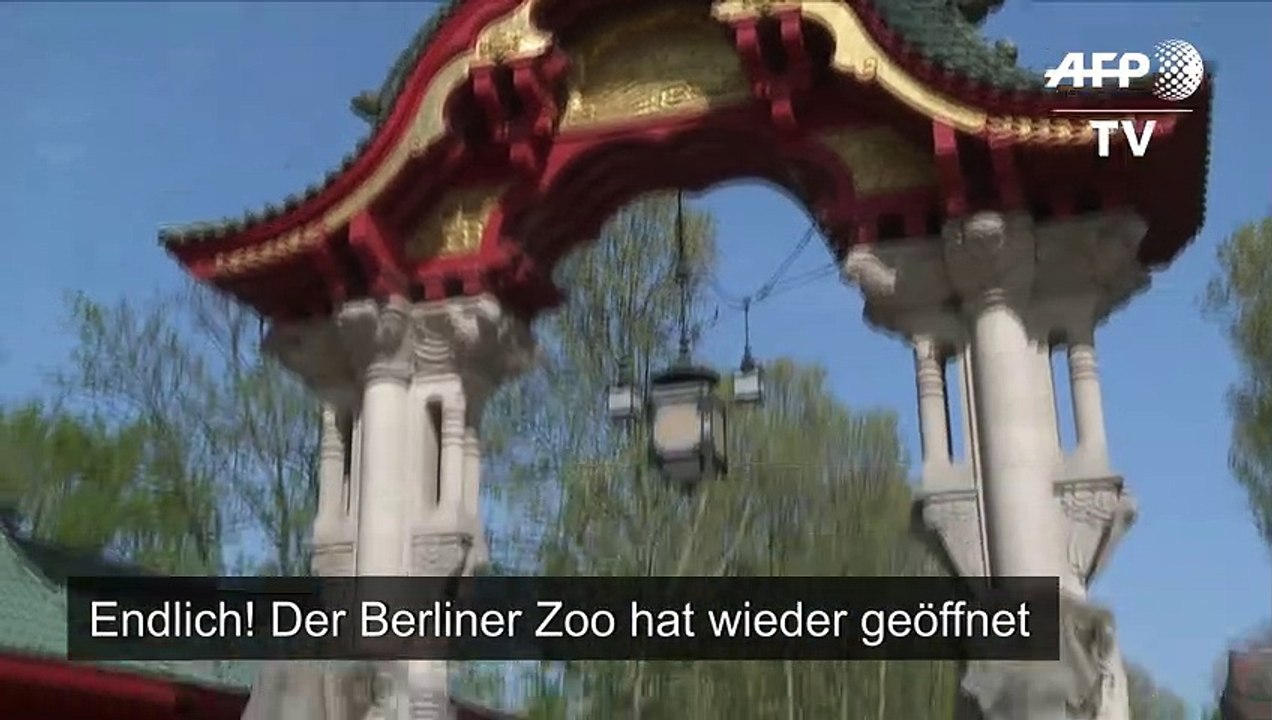 Berliner Zoos sind wieder geöffnet