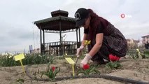 Van Gölü kıyısında yetiştirilen ters lalelerin 12 türü çiçek açtı