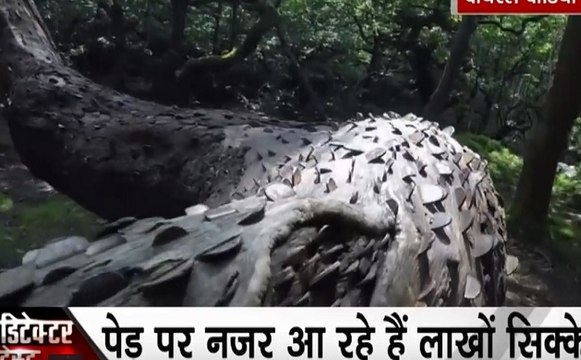 Lie Detector Test: सोशल मीडिया पर वायरल पैसे उगलने वाले पेड़ का वीडियो, जानिए क्या है हकीकत