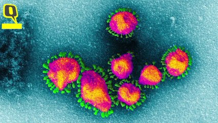 Does a High Viral Load or Infectious Dose Make COVID-19 Worse? Explained