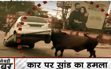 Bihar: जब सांड के गुस्से का शिकार हुई कार, बीच सड़क सांड का तांडव देख मची अफरा-तफरी