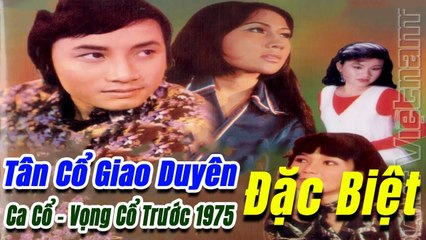 Tân Cổ Giao Duyên Đặc Biệt - những bài Ca Cổ vọng cổ Tân Cổ Trước 1975 Hay Nhất Vol 1