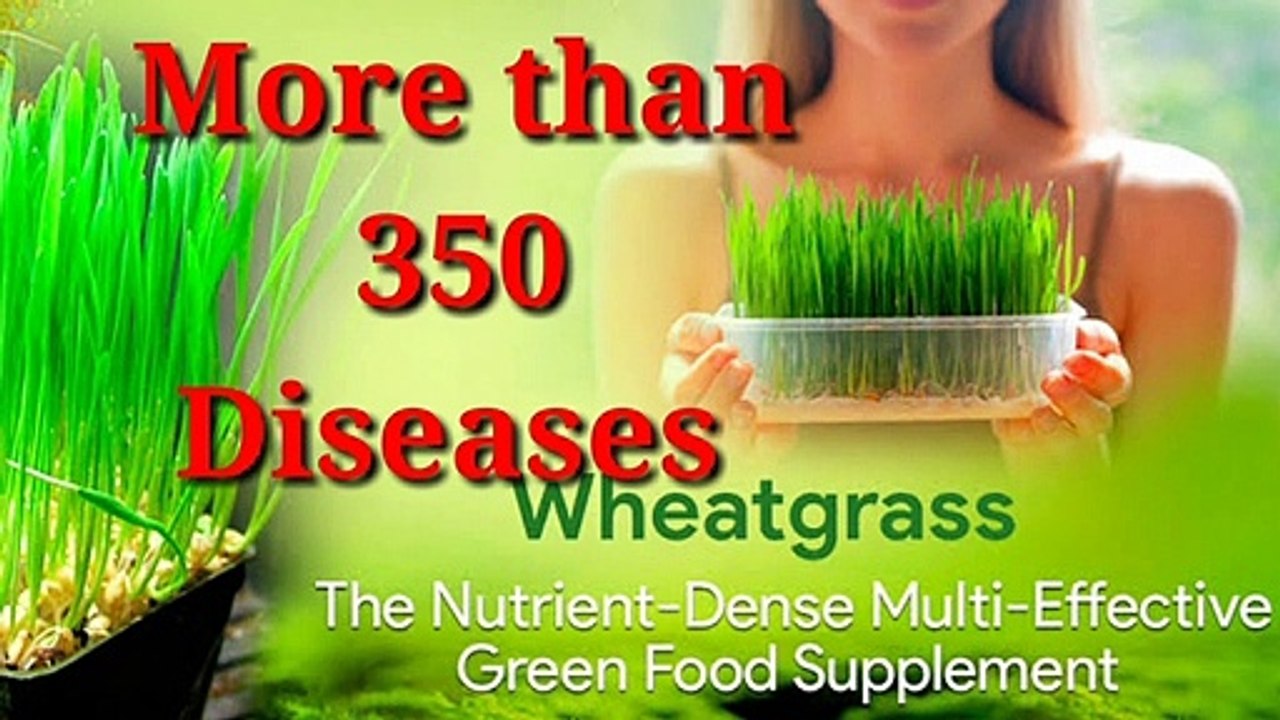 what is wheatgrass benefits
