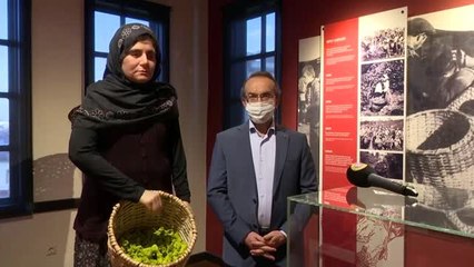 Vali Yavuz, Fındığın Öyküsü Müzesini ziyaret etti - ORDU