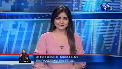 Gran cantidad de adopción de mascotas por pandemia en Estados Unidos