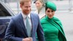 Prince Harry Is Following in Meghan Markle’s Footsteps with a TV Project